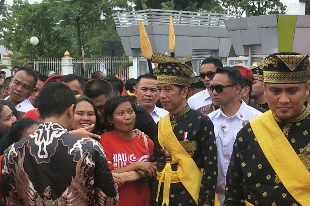 Jokowi attends Riau Malay cultural event