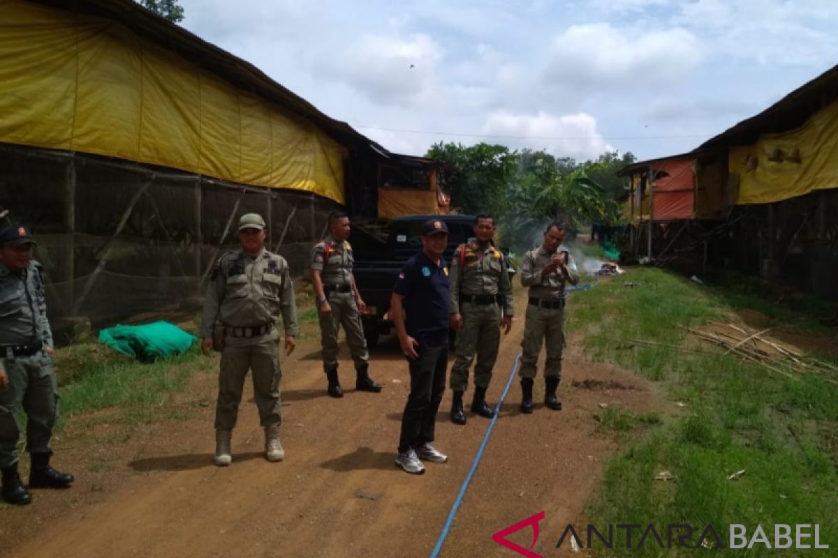 Satpol PP Bangka datangi peternakan ayam di Desa Penyamun