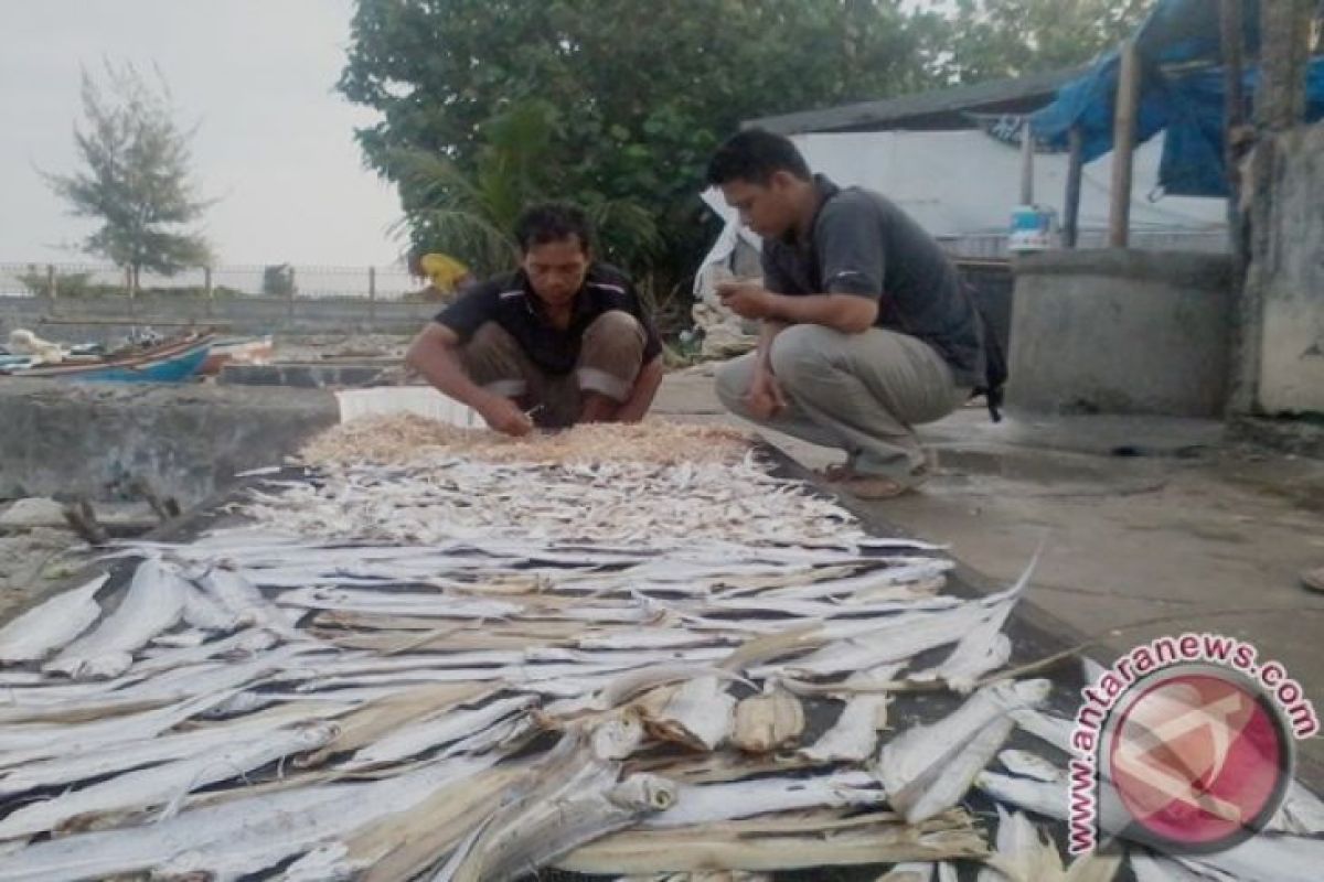 Dongkrak ekonomi, Bengkulu berdayakan pelaku UKM pesisir