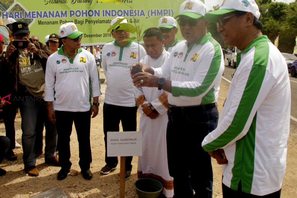 Wagub Nae Soi apresiasi penanaman ribuan anakan pohon