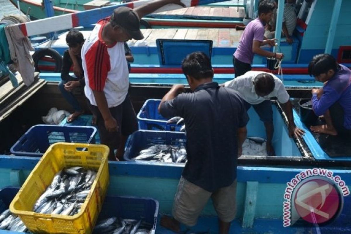 Ikan laut Bengkulu diekspor lewat daerah lain