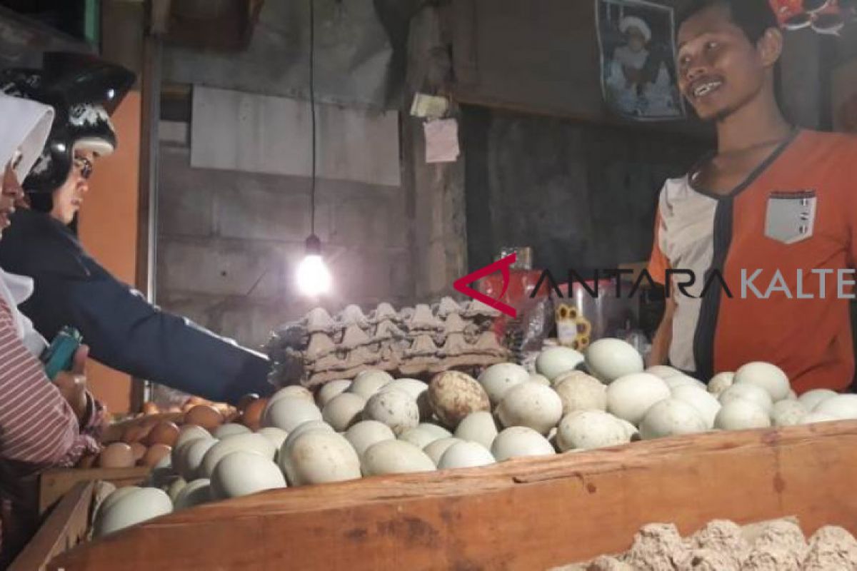 Mendekati Natal, perlahan harga telur mulai melonjak