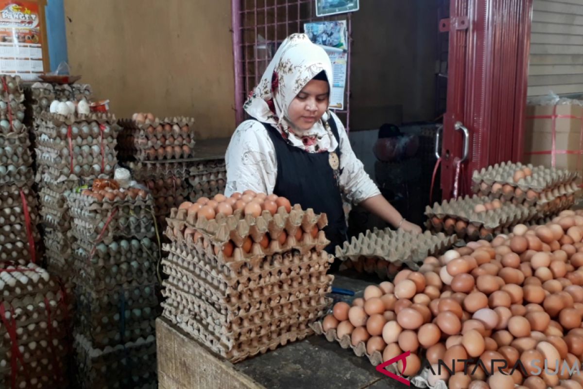 Harga telur ayam mulai turun di Padang