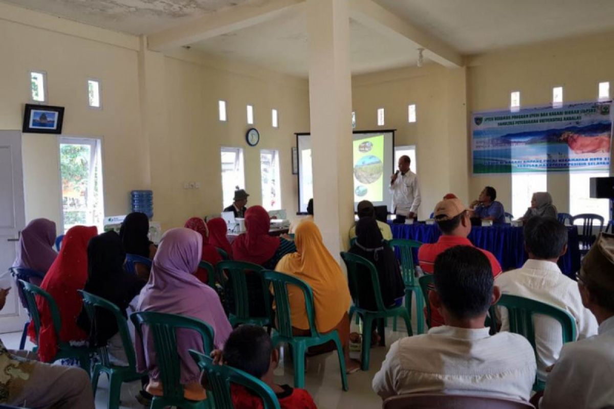 Meningkatkan produksi sapi potong di Ampang Pulai Pesisir Selatan, pengabdian masyarakat fakultas Peternakan Unand