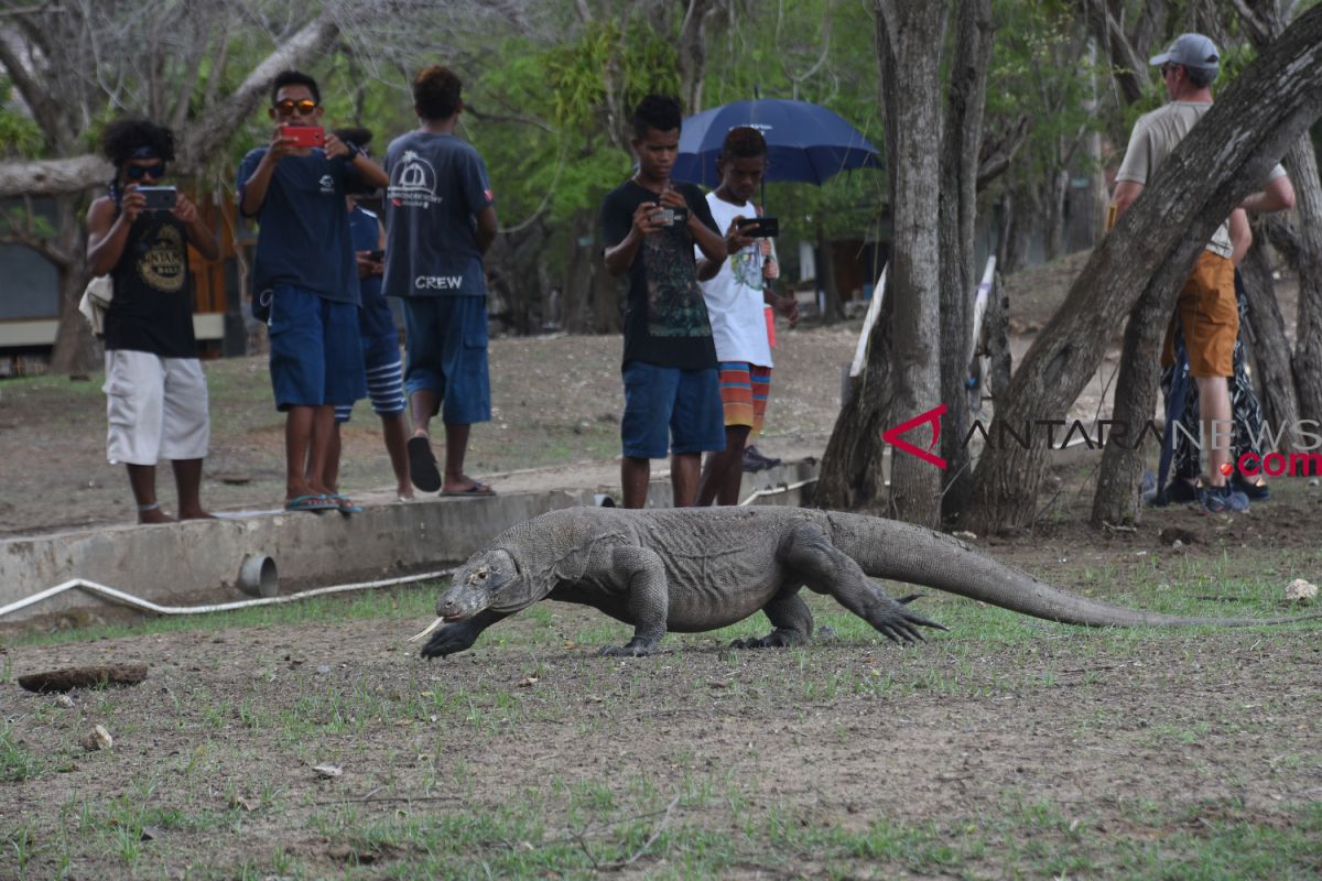 Govt agrees with plan to close Komodo Island