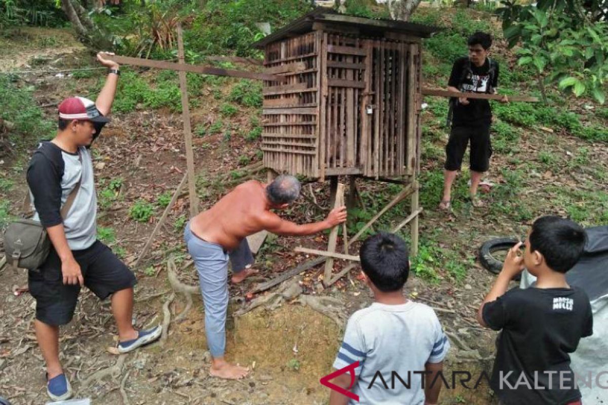 Warga Muara Teweh serahkan Beruk ke BKSDA Kalteng