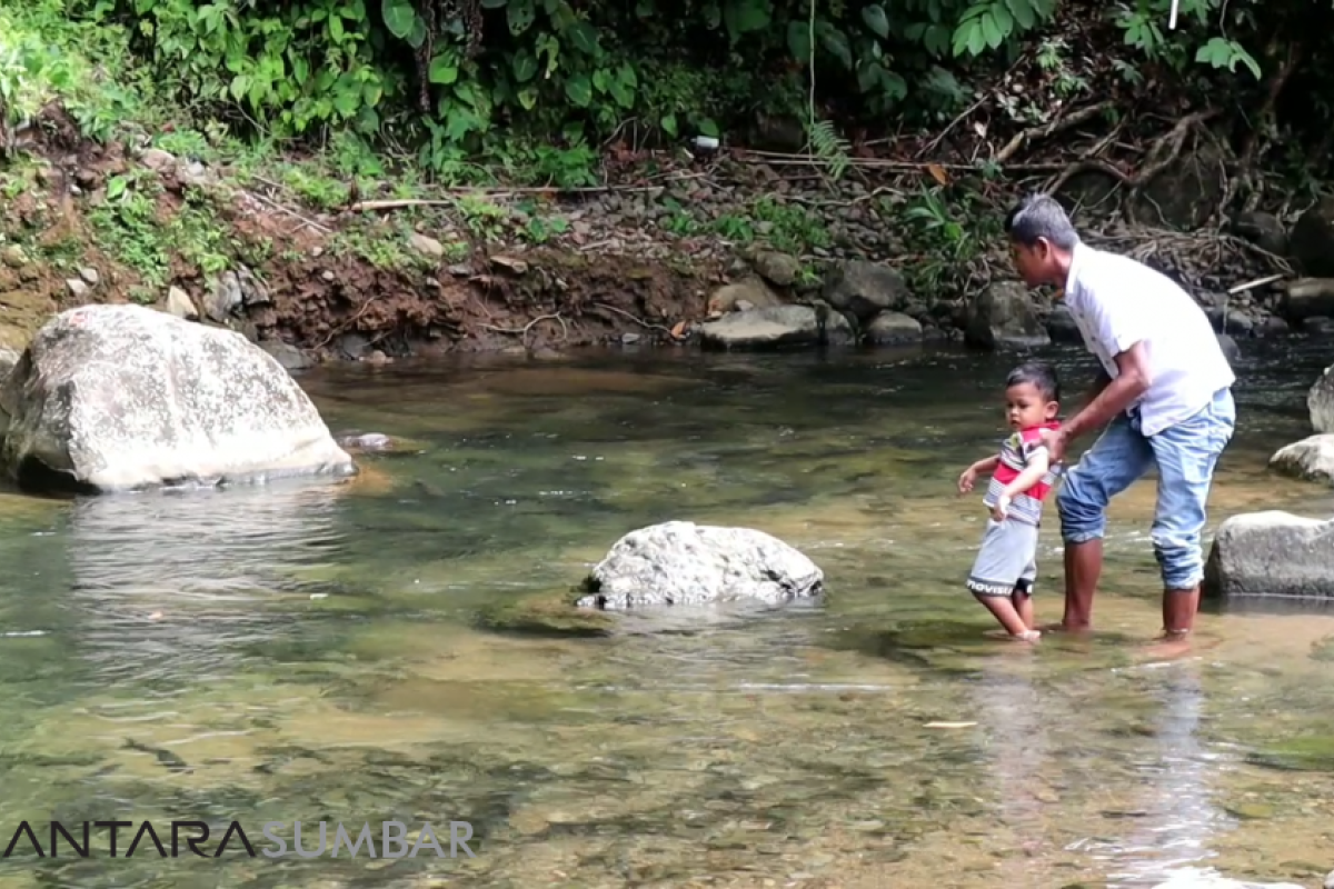 Pesona  Ikan larangan  Padang Pariaman pikat wisatawan (video)