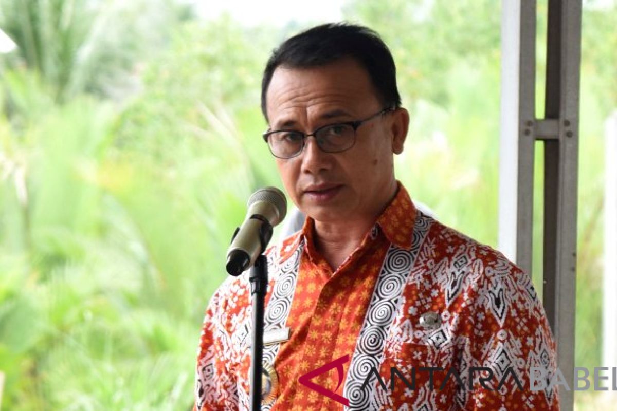 Wabup Bangka dorong petani maksimalkan tanam karet