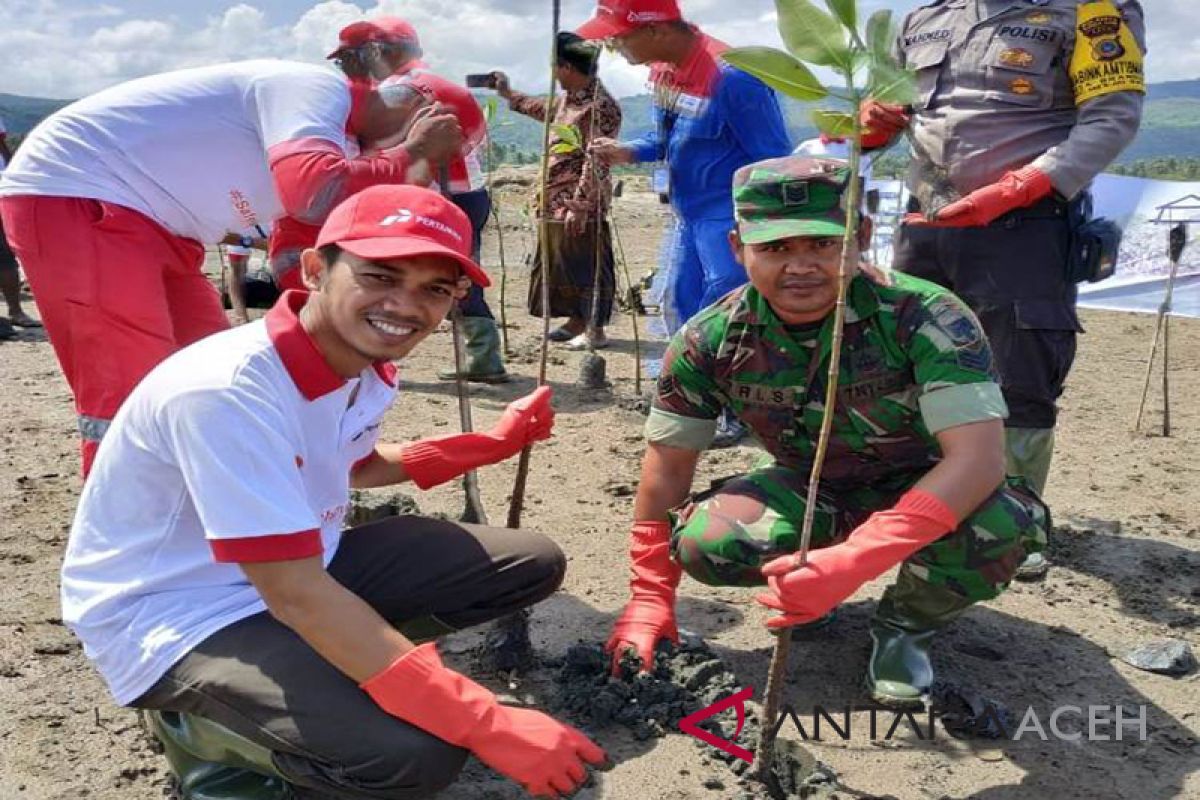 Pesisir pantai Aceh Besar ditanami 10.000 mangrove