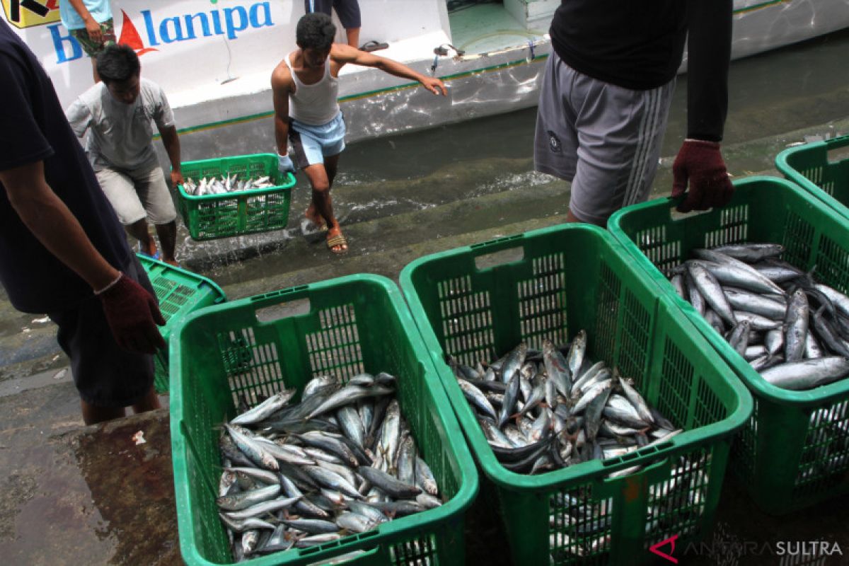 Melambung, penjualan ikan laut segar di Kendari