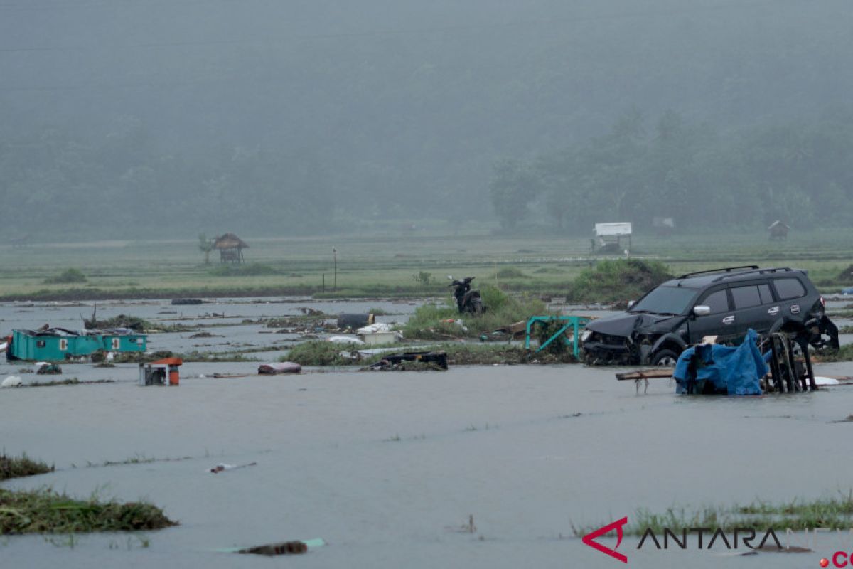 Kementerian BUMN koordinasi evakuasi pegawai korban tsunami