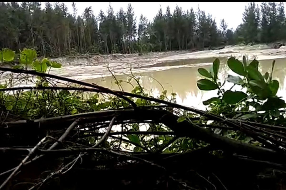 PLTU Teluk Sepang eksploitasi pasir TWA Pantai Panjang