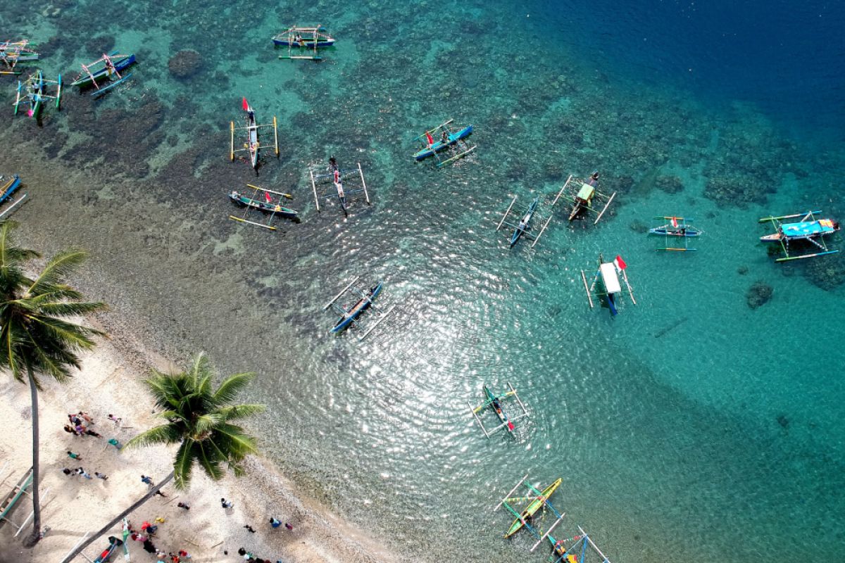 Festival Perahu Promosikan Wisata Hiu Paus