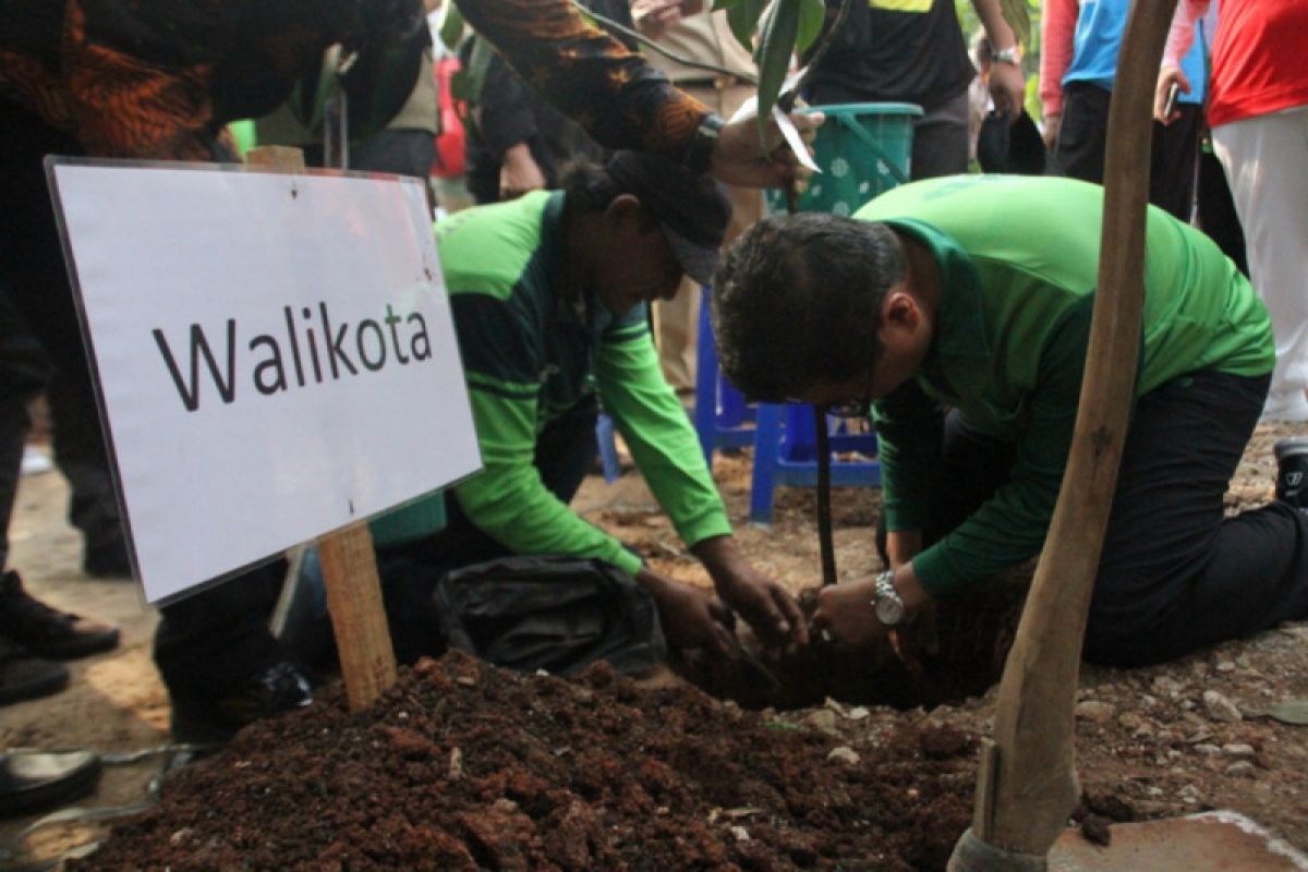 Gerakan satu juta pohon pulihkan resapan air Jaksel