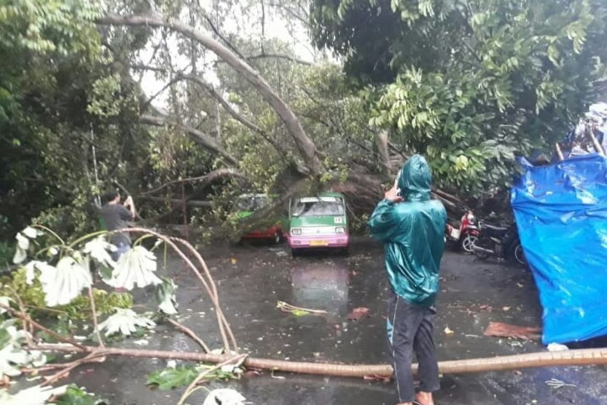 Angin kencang di Bogor dipicu awan Kumulonimbus