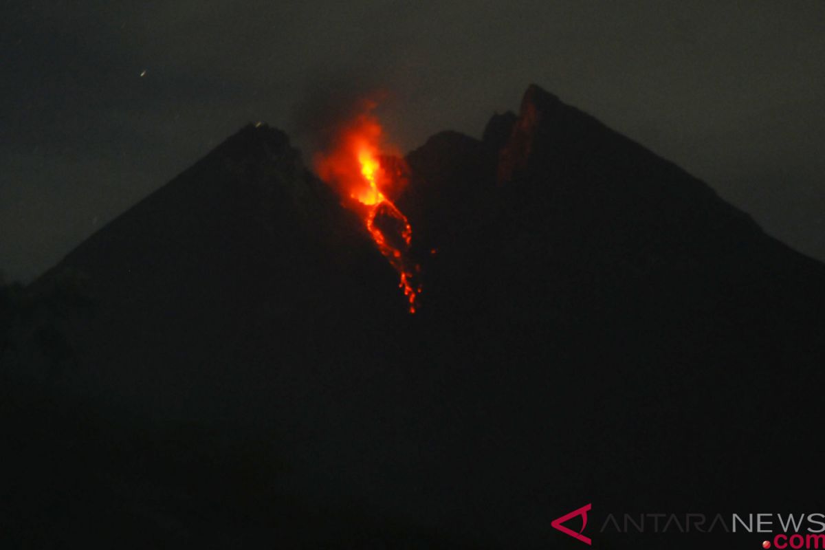 Merapi luncurkan guguran lava pijar semalam