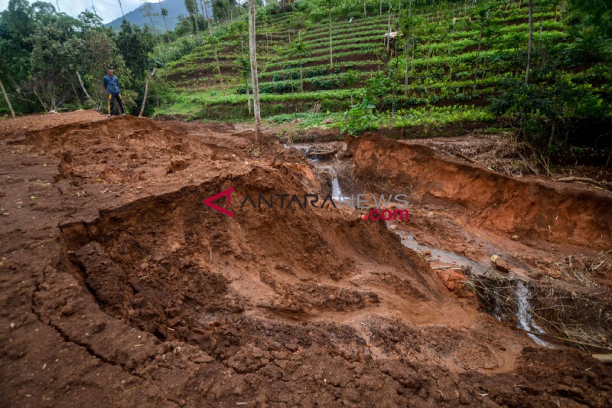 Two dead, 41 missing in Sukabumi landslide