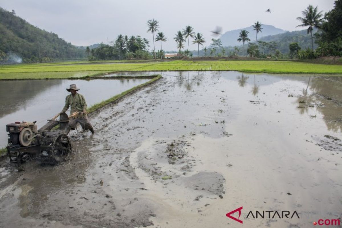 Pengamat harapkan capres soroti infrastruktur pembangunan pertanian