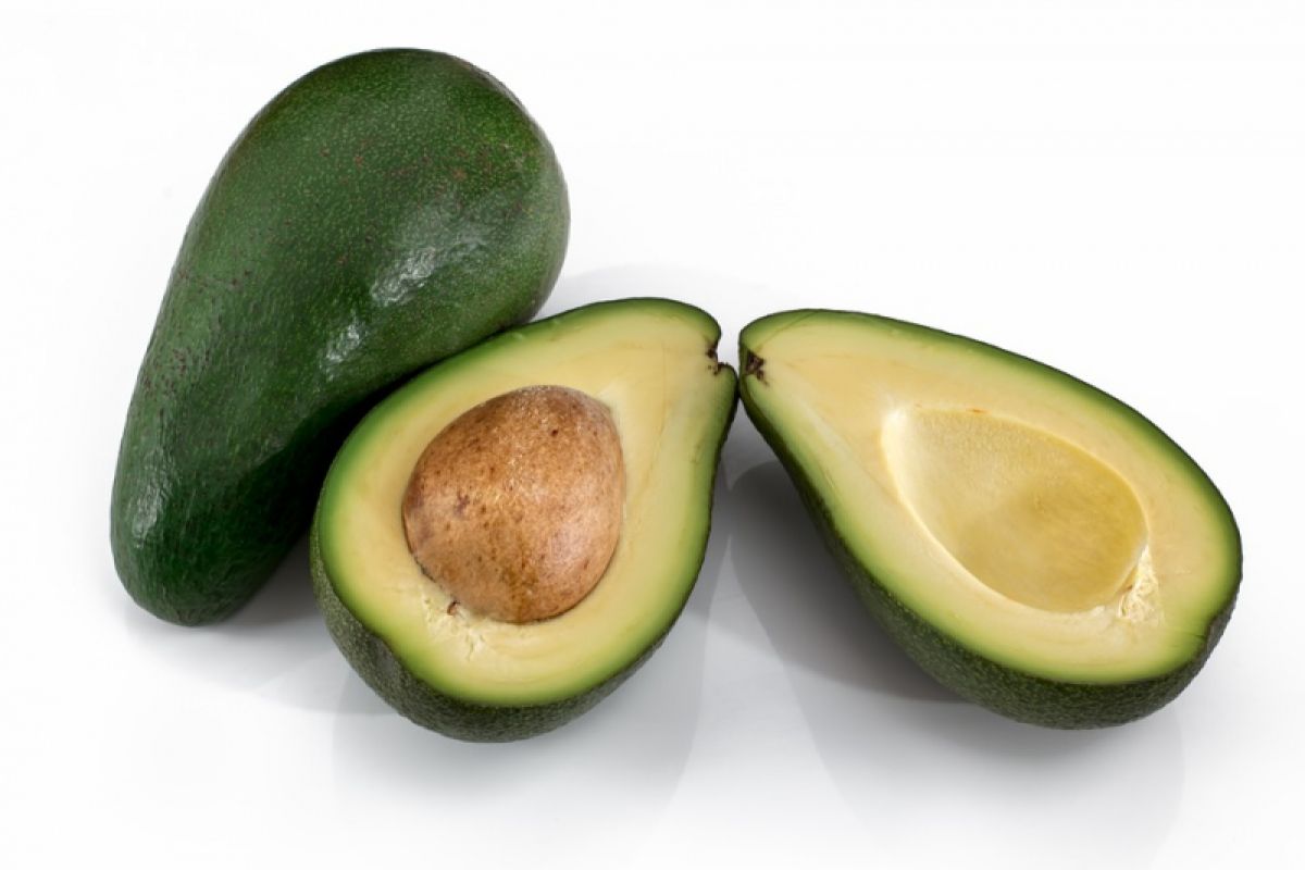 Opportunity opens for Indonesia to export avocados to Japan