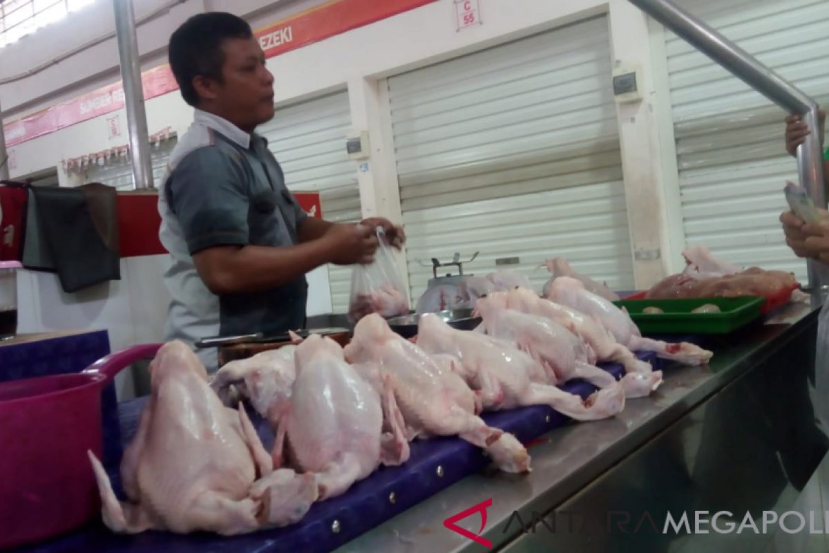 Diprediksi harga ayam akan naik hingga tahun baru