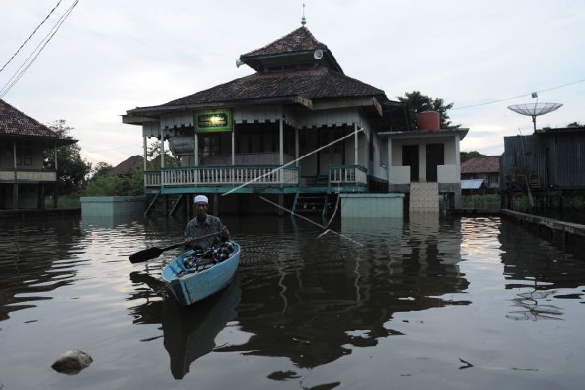 Banjir luapan Sungai Batanghari di Pelayangan Kota Jambi