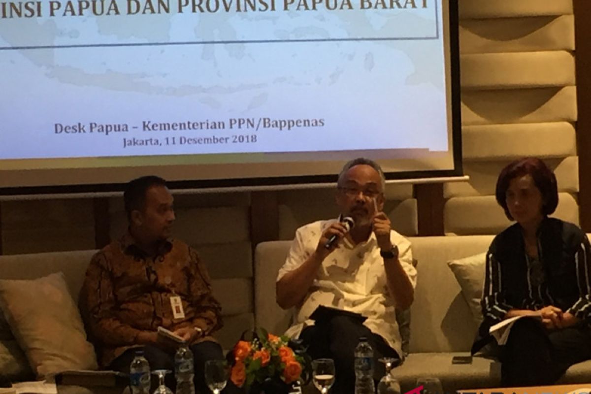 Bappenas: infrastruktur tulang punggung gerakkan ekonomi Papua