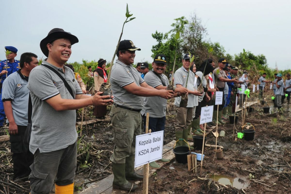 Pemulihan ekosistem hutan bakau butuhkan kolaborasi