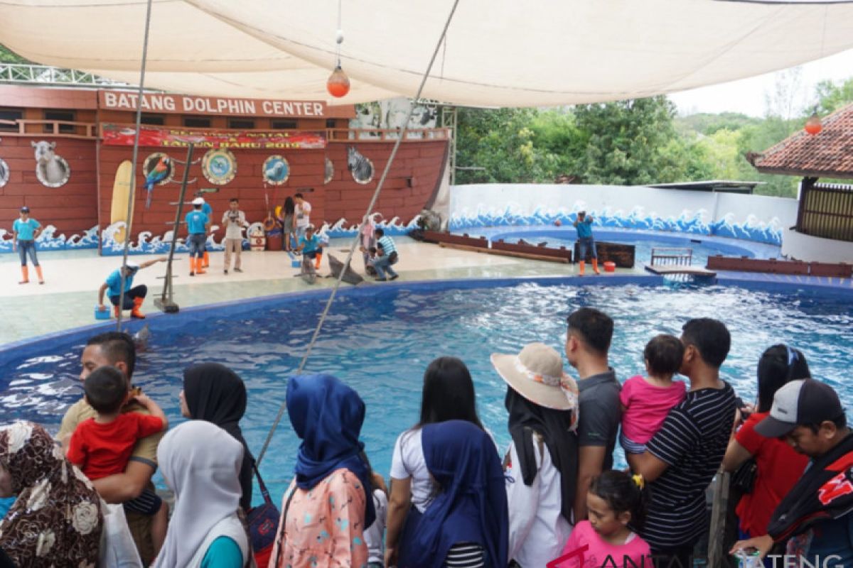 Pengunjung Dolphin Center Batang naik 40 persen