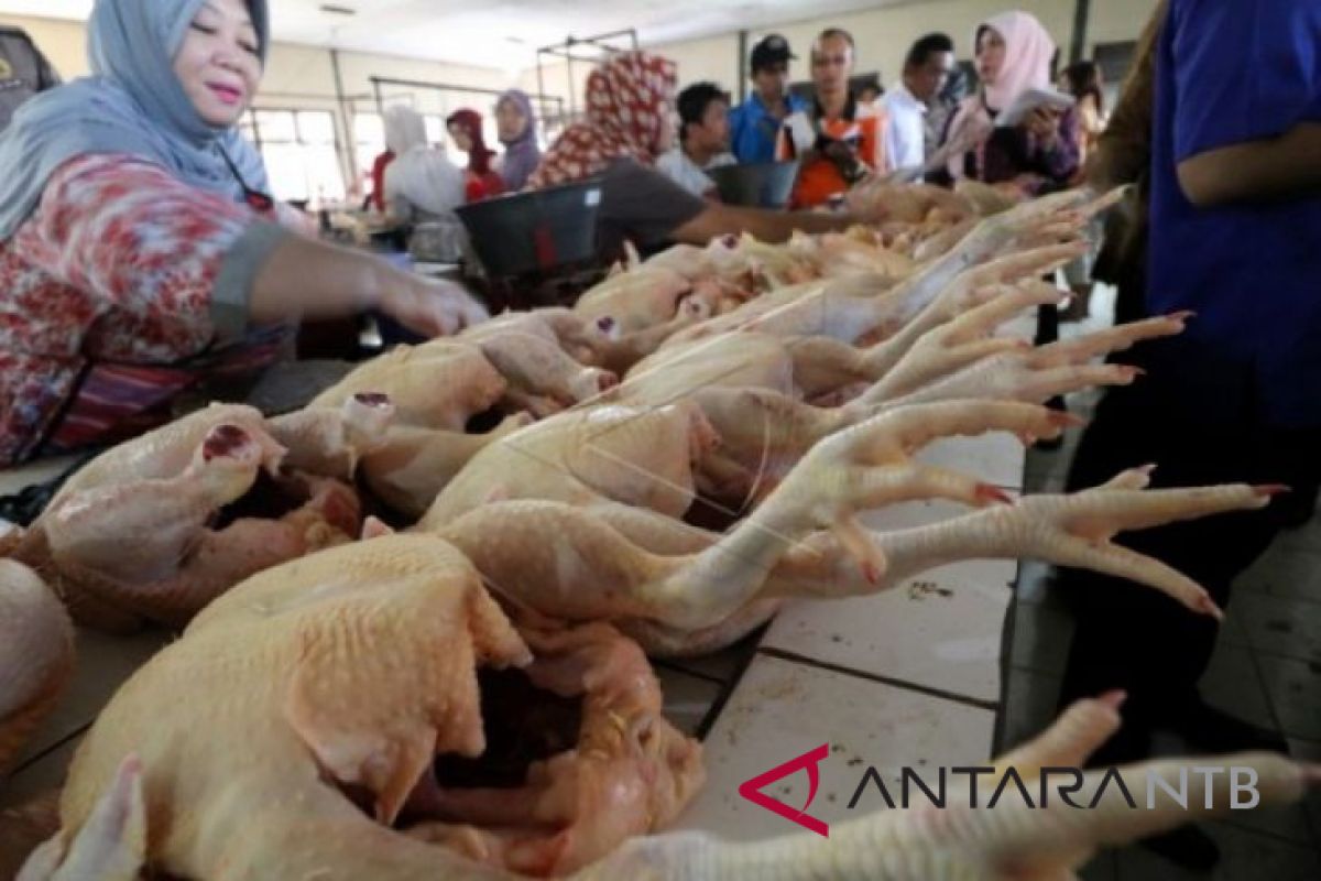 Harga daging ayam mulai naik menjelang Lebaran