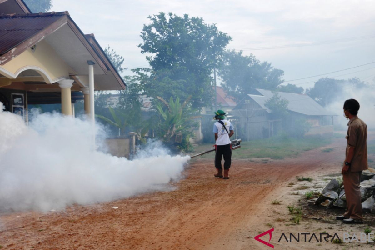 DKPPKB Belitung Timur catat tujuh kasus DBD