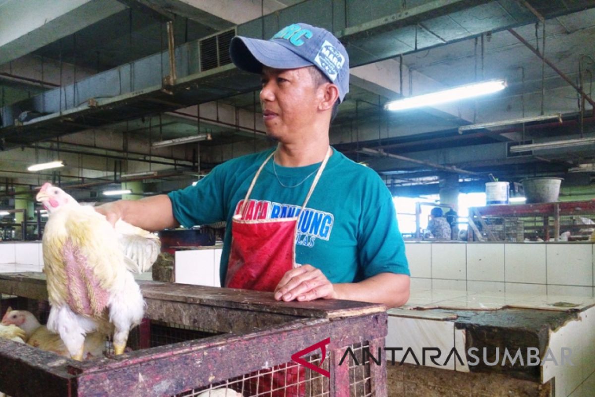 Harga ayam potong naik di Pasar Raya Padang