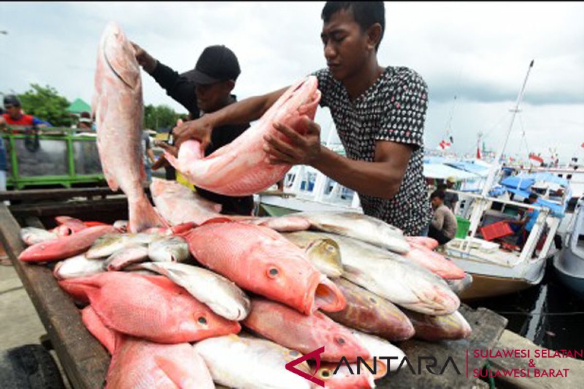 Harga ikan di Makassar belum stabil pasca-Natal