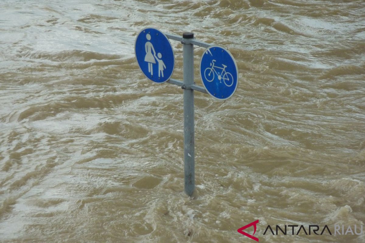 Banjir Sentani Jayapura telan 14 korban jiwa