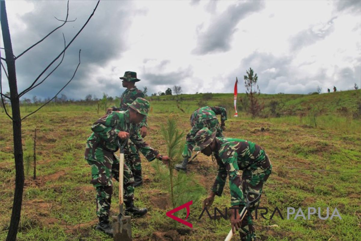 Kodim 1702/Jawawijaya hijaukan 50 hektare kawasan tandus