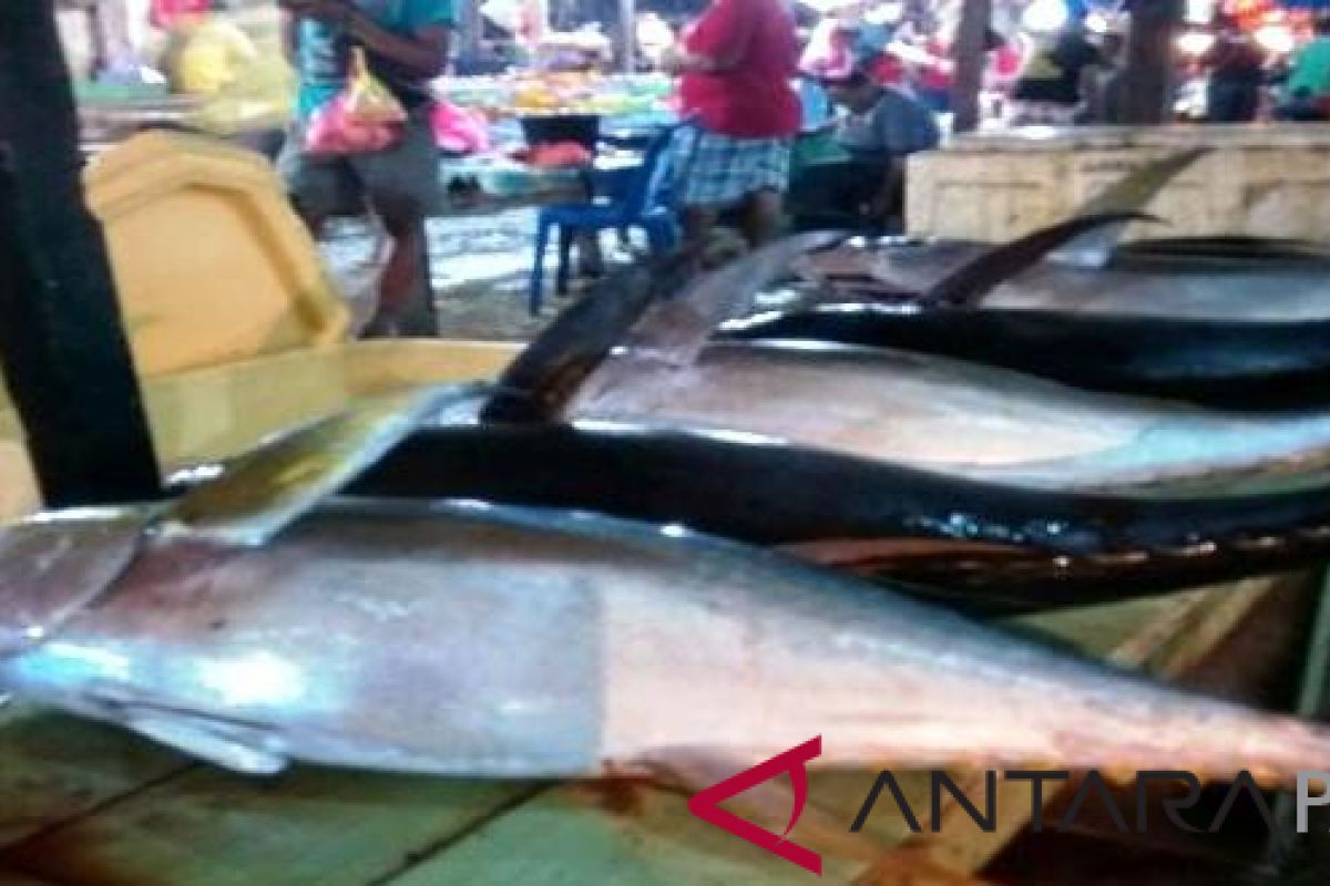 Harga ikan di pasar tradisional Pangkalpinang terus naik