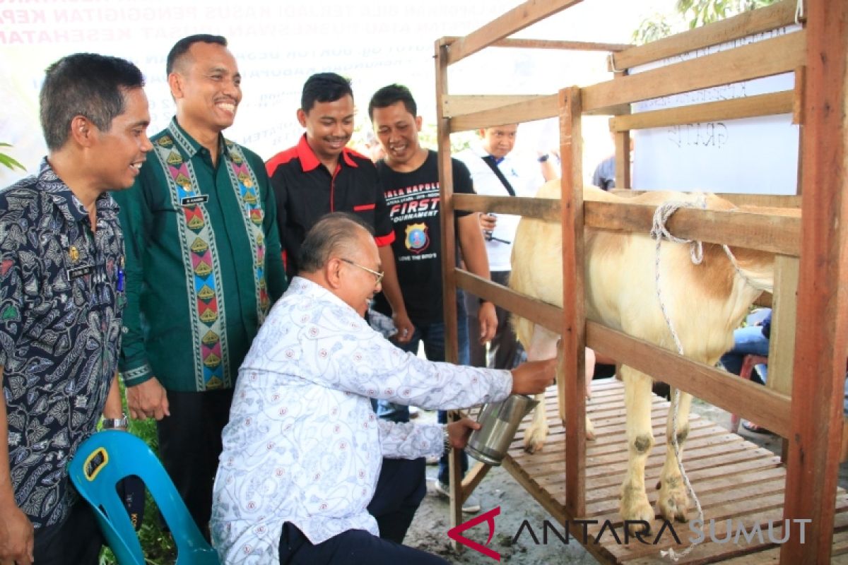 Pemkab Serdang Bedagai dorong optimalisasi potensi kampung ternak