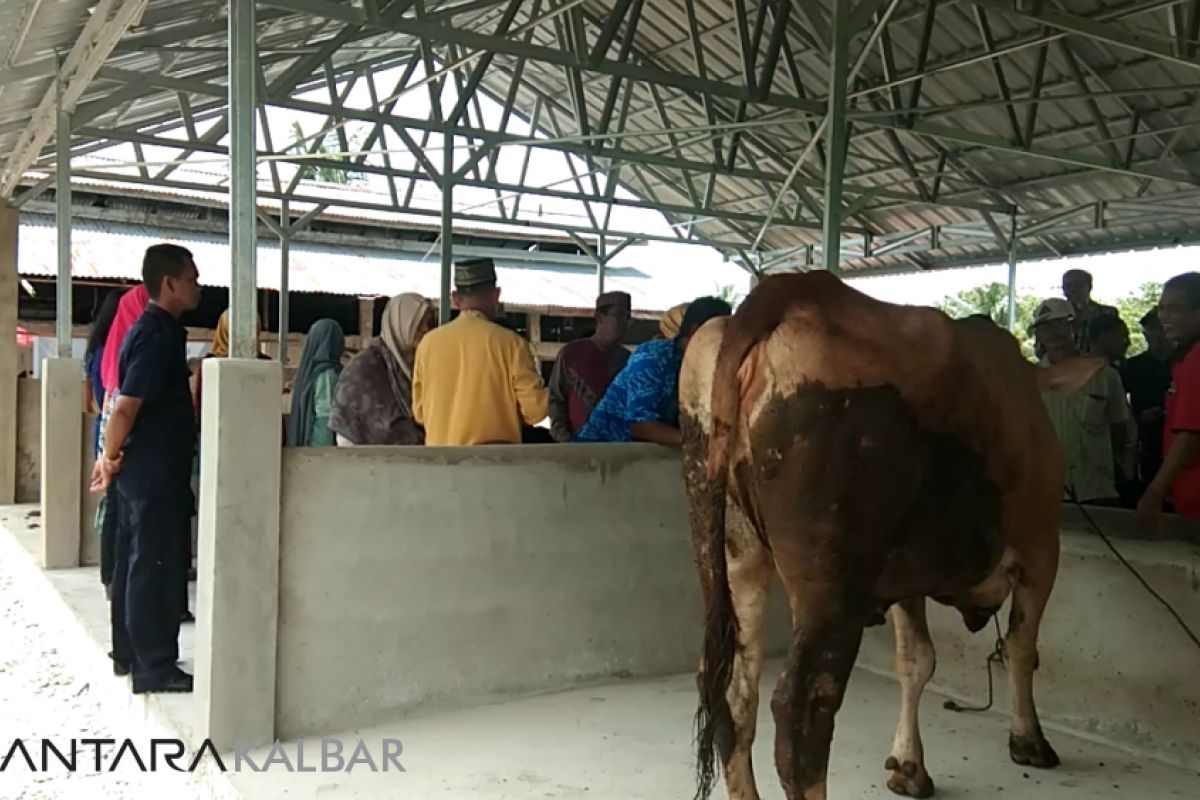 BI beri bantuan kandang sapi komunal untuk Sambas