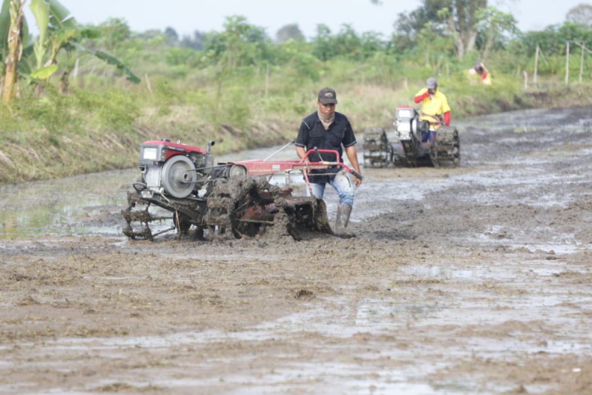 Kementan dorong modernisasi dukung korporasi petani