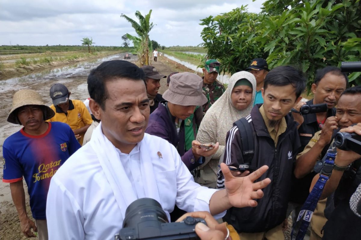 Kementan proyeksikan Kalsel lumbung pangan luar Jawa