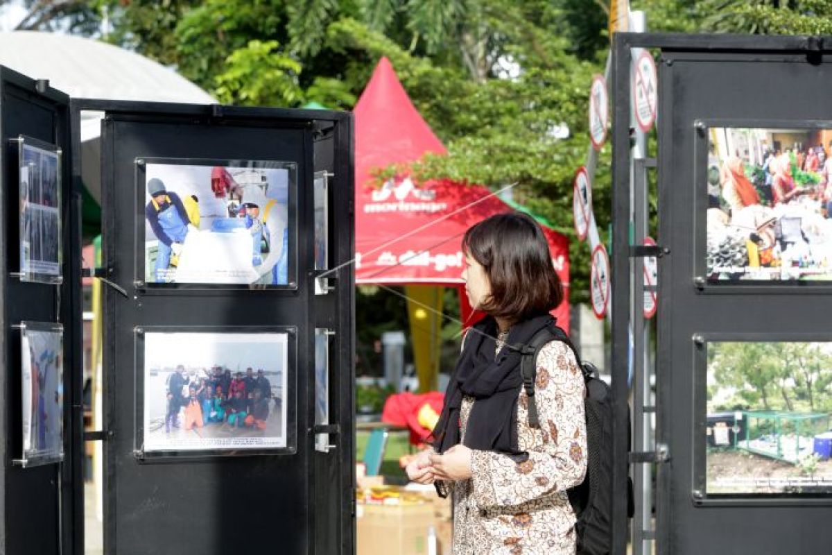 Jepang ajak masyarakat Aceh budidaya rumput laut