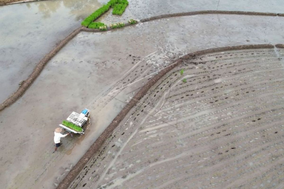 Akademisi ingatkan permasalahan irigasi pada musim hujan