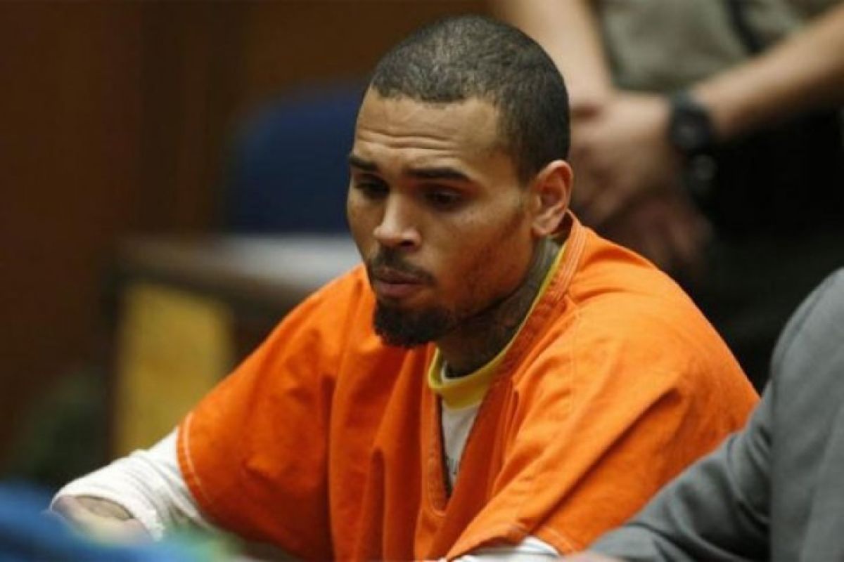 Gara gara pelihara monyet , Chris Brown terancam dipenjara