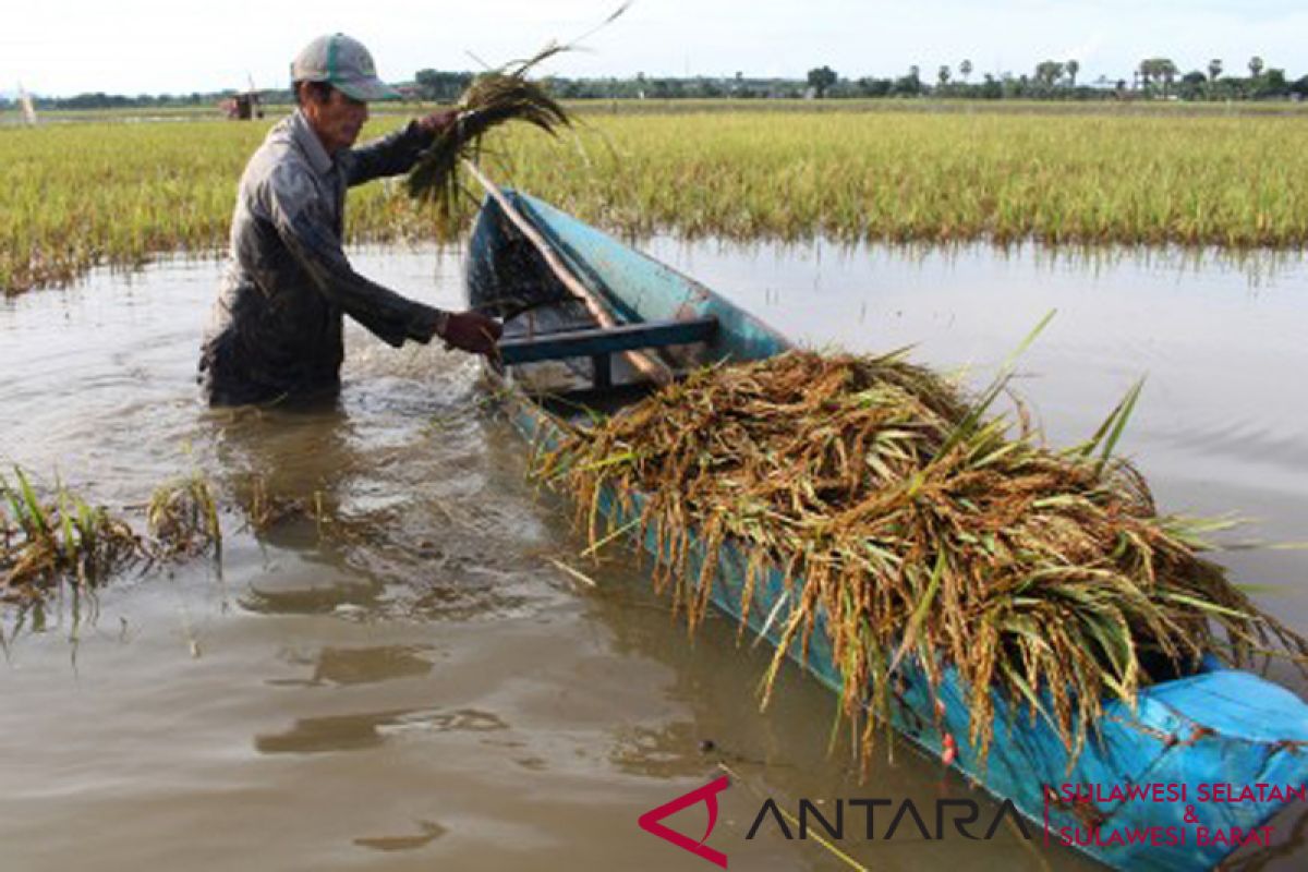 NTP Sulbar turun 2,34 persen