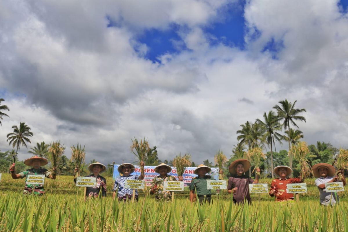 Petani Lumajang Terima Sertifikat Organik Padi dan Kopi