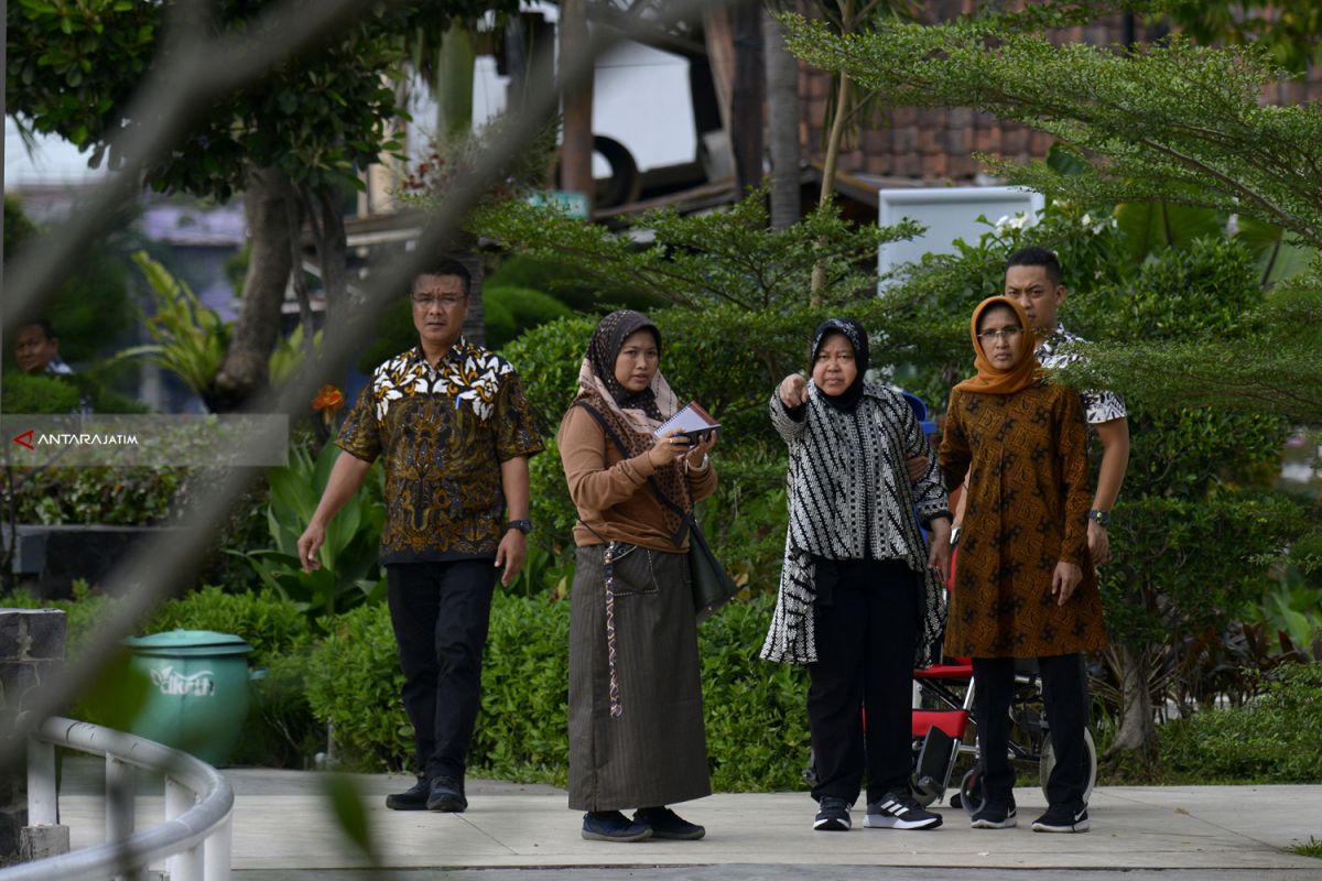 Taman 10 Nopember Surabaya akan Dipercantik Pohon Jacaranda