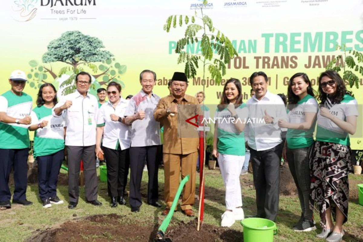 Penanaman Trembesi Selaras dengan Visi Sidoarjo Antisipasi Pemanasan Global