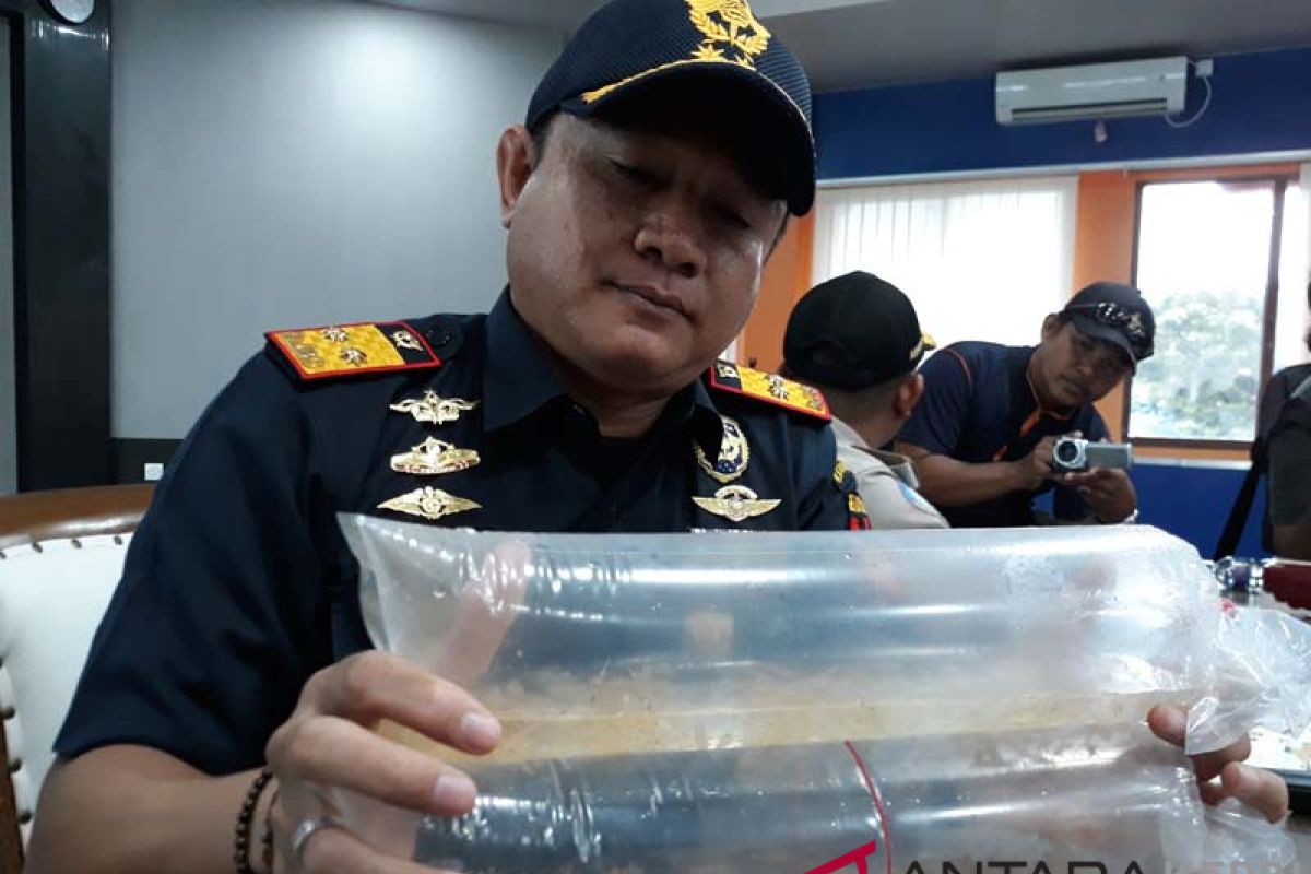 BC Kepri gagalkan penyelundupan lobster senilai Rp12 miliar