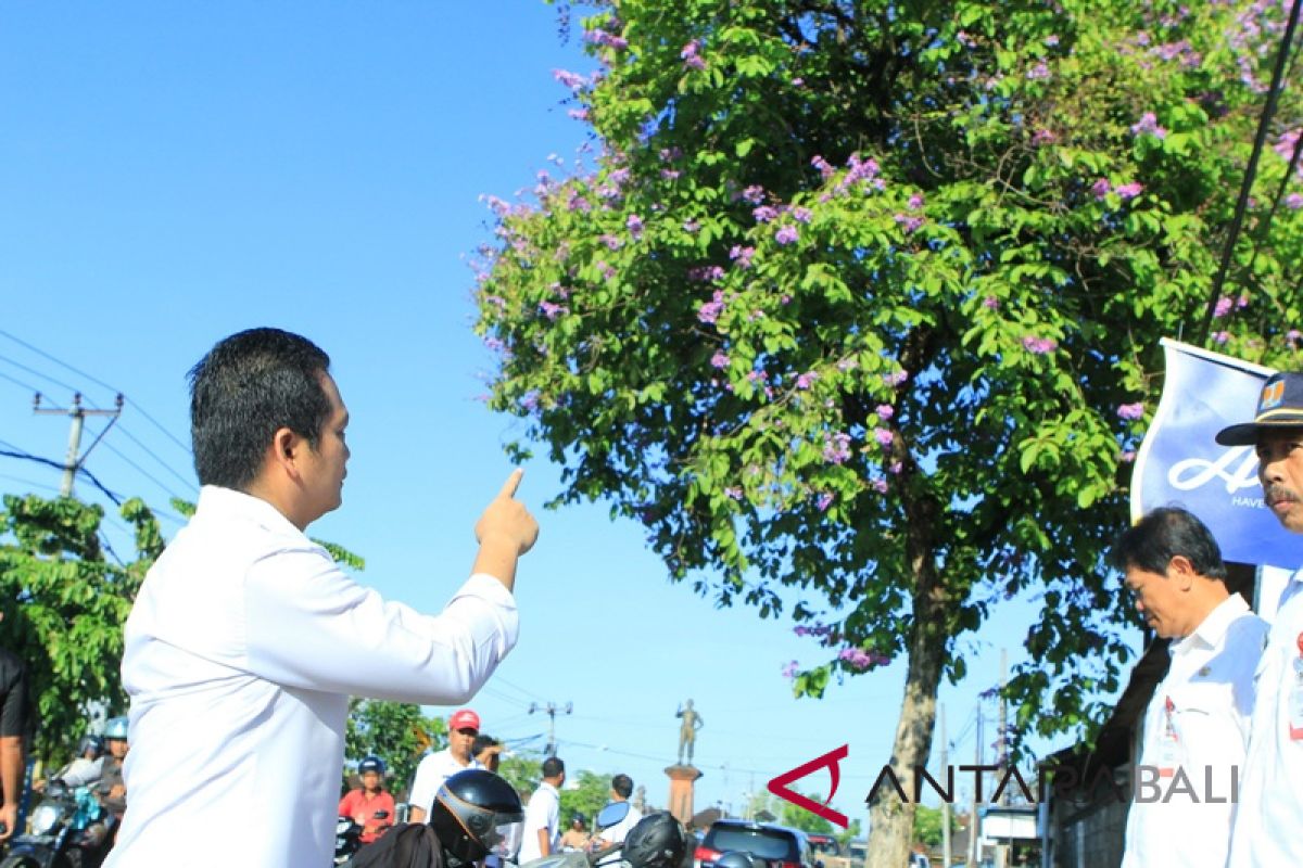 Pemkab Jembrana tanam ratusan pohon peneduh jalan