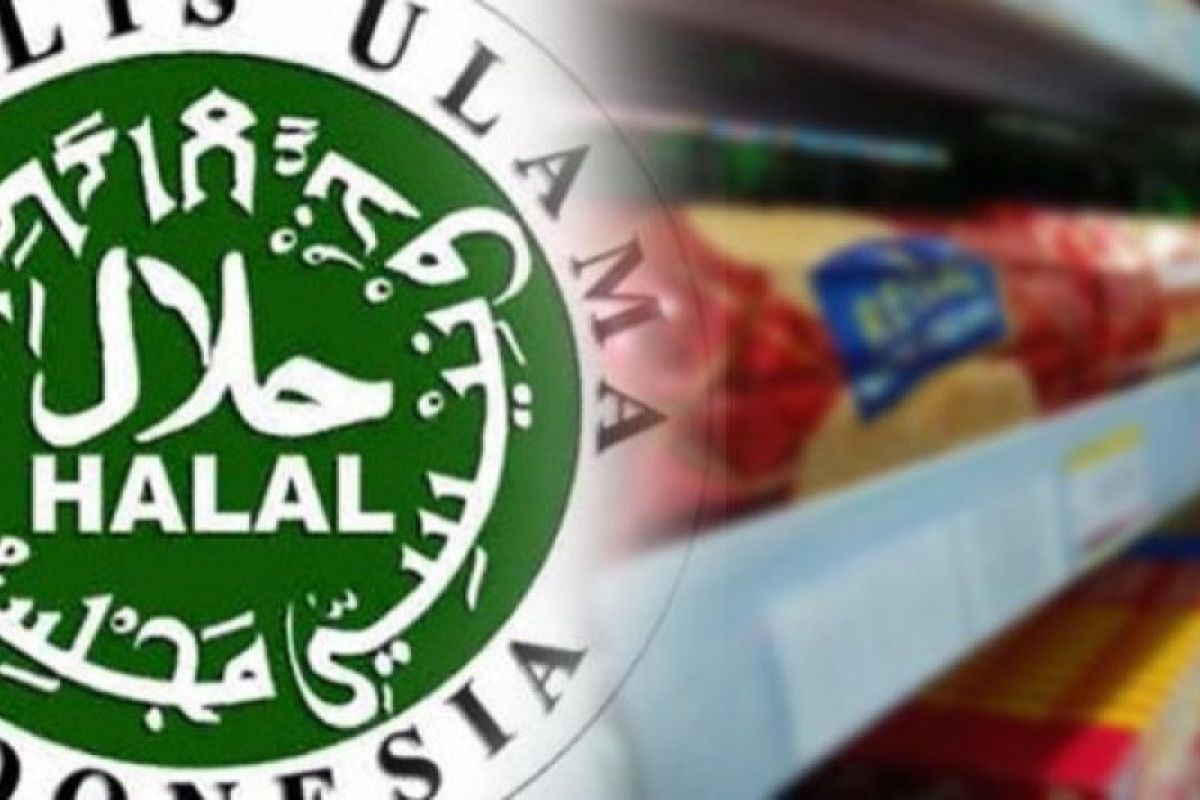 Konsumsi muslim Indonesia di industri halal Rp3.179 triliun