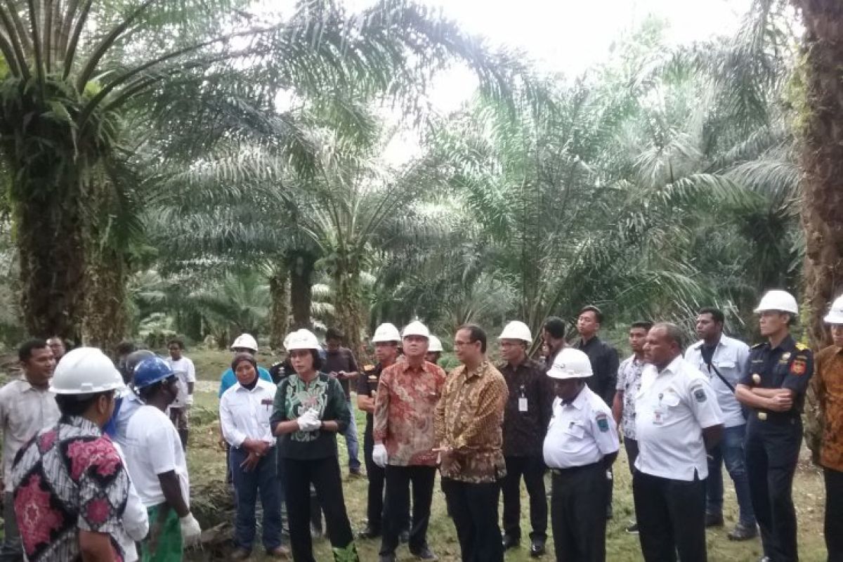 Menteri Keuangan Sri Mulyani dialog dengan petani sawit di Manokwari